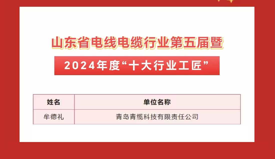 青纜職工獲評2024年度&ldquo;十大杰出青年&rdquo;及&ldquo;十大行業(yè)工匠&rdquo;